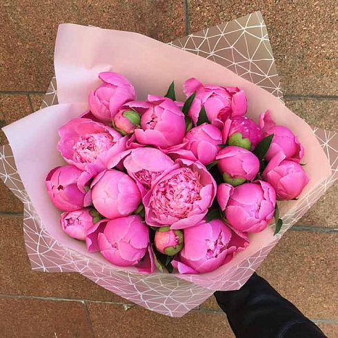 Малиновые пионы