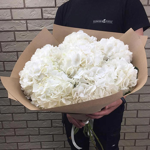 Белые гортензии в крафте