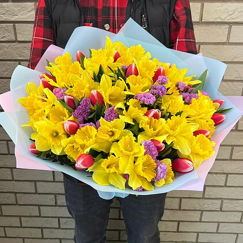 Нарциссы и тюльпаны