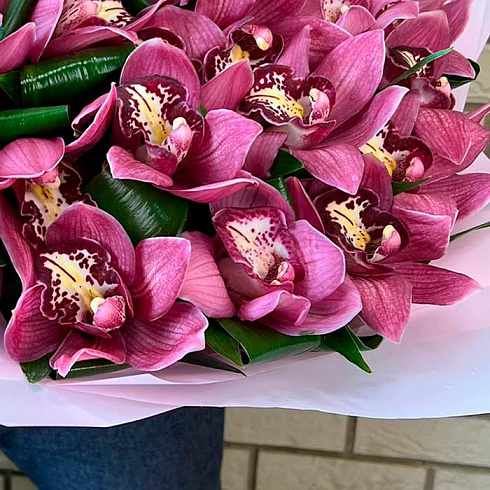 Розовые орхидеи с зеленью