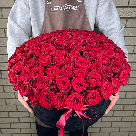 111 красных роз в бархатной коробке