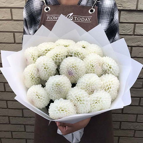 19 белых георгин