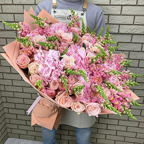 Гортензии, пионовидные кустовые розы, антирринум