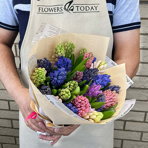 Гиацинты микс