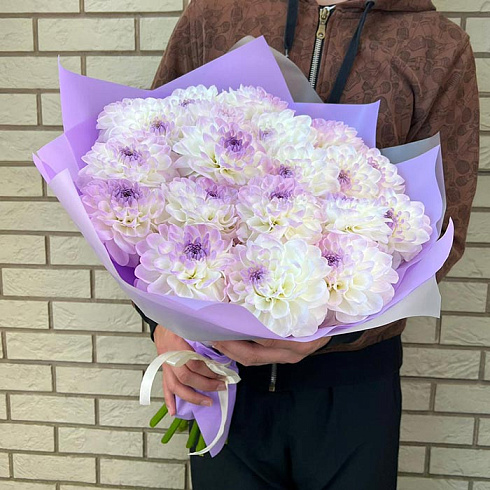 Георгины в дизайнерской упаковке