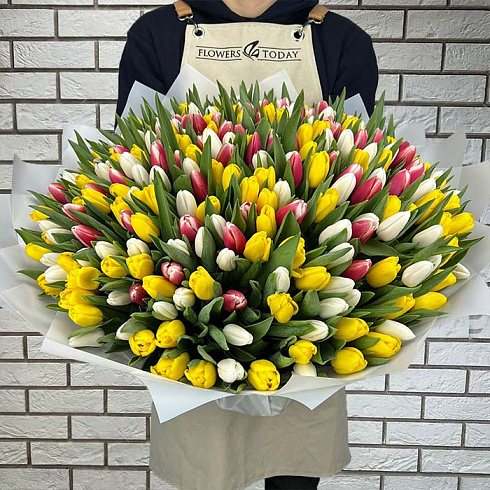 301 тюльпан микс