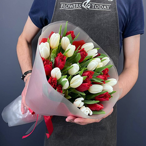 Красные и белые тюльпаны