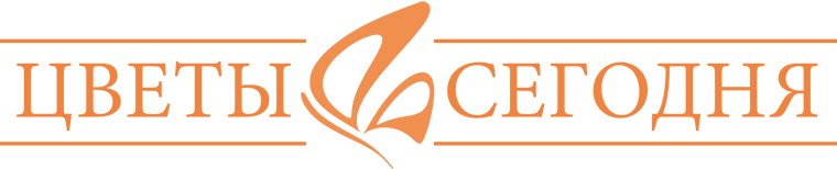 доставка цветов